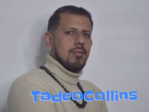 TadeoCollins