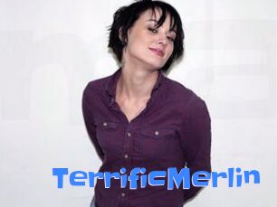 TerrificMerlin
