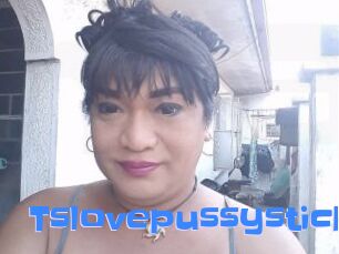 Tslovepussystick
