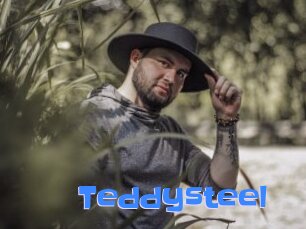 Teddysteel
