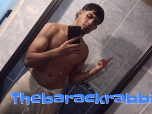 Thebarackrabbit