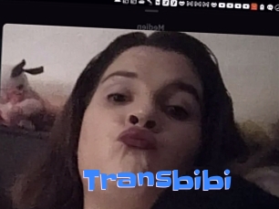 Transbibi