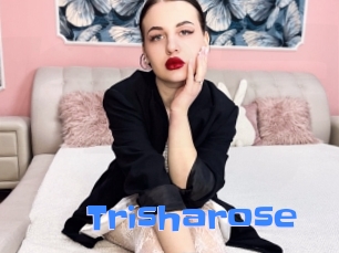 trisharose Mausi Privat