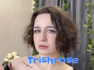 Trishrose
