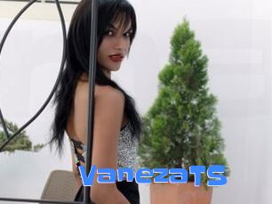 VanezaTS