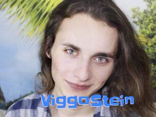 ViggoStein