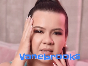 Vanebrooks