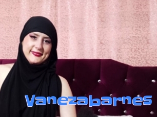 Vanezabarnes