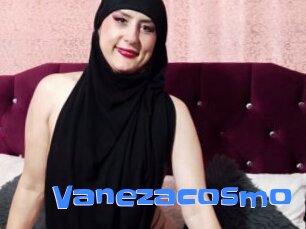 Vanezacosmo