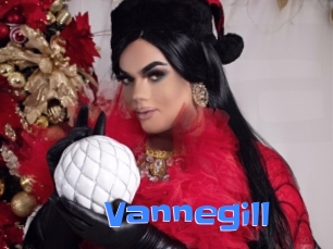 vannegill Mausi Privat