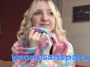 Vannessaspark