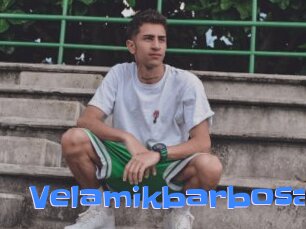 Velamikbarbosa