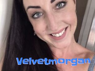 Velvetmorgan