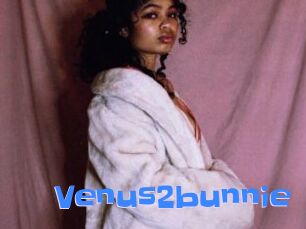 Venus2bunnie