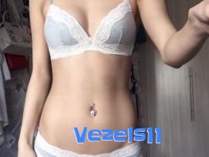 Vezels11