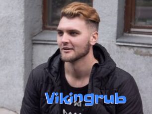 Vikingrub
