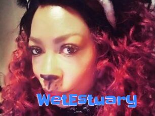 WetEstuary