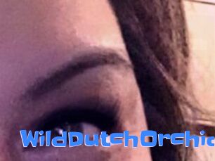 WildDutchOrchid