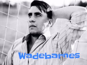 Wadebarnes