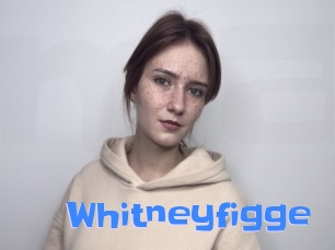 Whitneyfigge