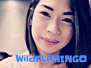 WildFLAMINGO