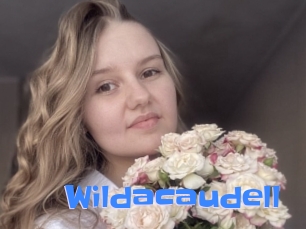 Wildacaudell