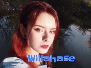 Willahase