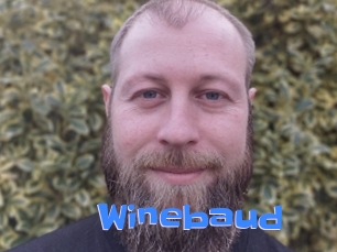 Winebaud