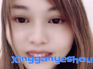 Xingganyeshou