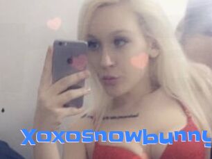 Xoxosnowbunny