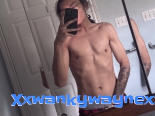 xxwankywaynexx Mausi Privat