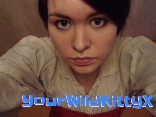YourWildKittyX