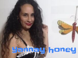 Yannay_honey