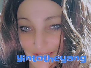 Yintotheyang