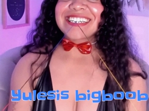 yulesis_bigboobs Mausi Privat
