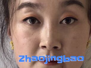 Zhaojingbao