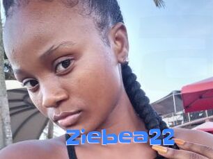 Ziebea22