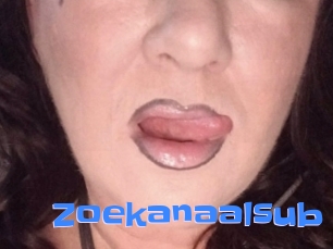 Zoekanaalsub